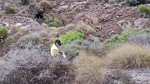  Mina Marisol. Barranco Las Nogueras, Campos de Golf, Atamaría, Cartagena, Murcia 