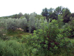 Doleritas de Altura. Castellón 