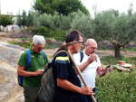 Doleritas de Altura. Castellón  