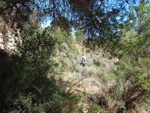   Doleritas de Altura. Castellón 