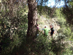   Doleritas de Altura. Castellón 