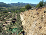 Cantera de Ofitas Altura. Castellón