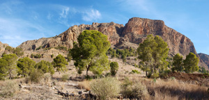 Mineria de Hierro. Orihela. Alicante.