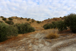 Cantera Minerama - Cerro Moreno - Puentetablas - Jaén