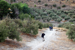 Cantera Minerama - Cerro Moreno - Puentetablas - Jaén