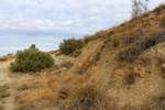 Cantera Minerama - Cerro Moreno - Puentetablas - Jaén