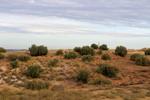 Cantera Minerama - Cerro Moreno - Puentetablas - Jaén