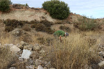 Cantera Minerama - Cerro Moreno - Puentetablas - Jaén 