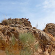 Cantera Minerama - Cerro Moreno - Puentetablas - Jaén 