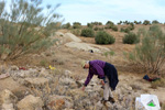 Cantera Minerama - Cerro Moreno - Puentetablas - Jaén