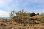   Cantera Minerama - Cerro Moreno - Puentetablas - Jaén