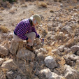  Cantera Minerama - Cerro Moreno - Puentetablas - Jaén