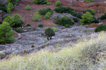 Collado La Mina. Llano del Beal, Cartagena, Murcia 