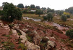 Goethitas de Tolderabano. GUADALAJARA 