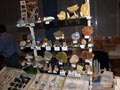 IV Feria de Minerales de Oliva. Stand Casimiro Zona Minera