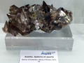 GMA. Feria de Minerales de Santa María en Francia