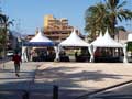 Feria de Campello 2014